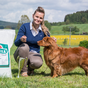 Klubová a Speciální výstava Retrieverů v Humpolci